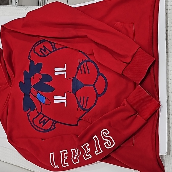 Levels Pullover Red hoodie Mens Sweatshirt with kangaroo pocket Size L - Picture 7 of 8